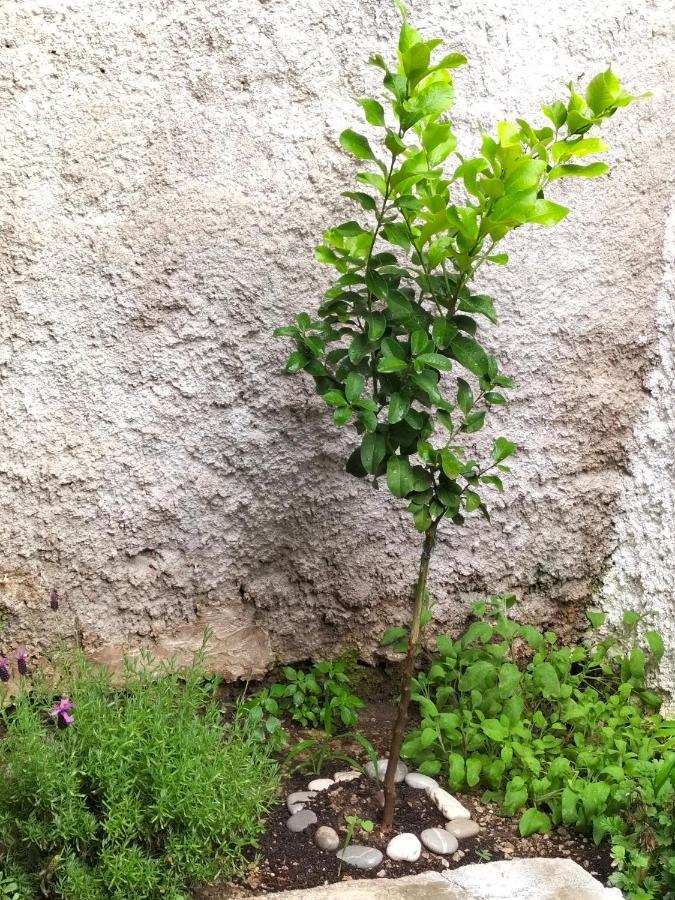فيلا La Loggia 34 باليرمو المظهر الخارجي الصورة